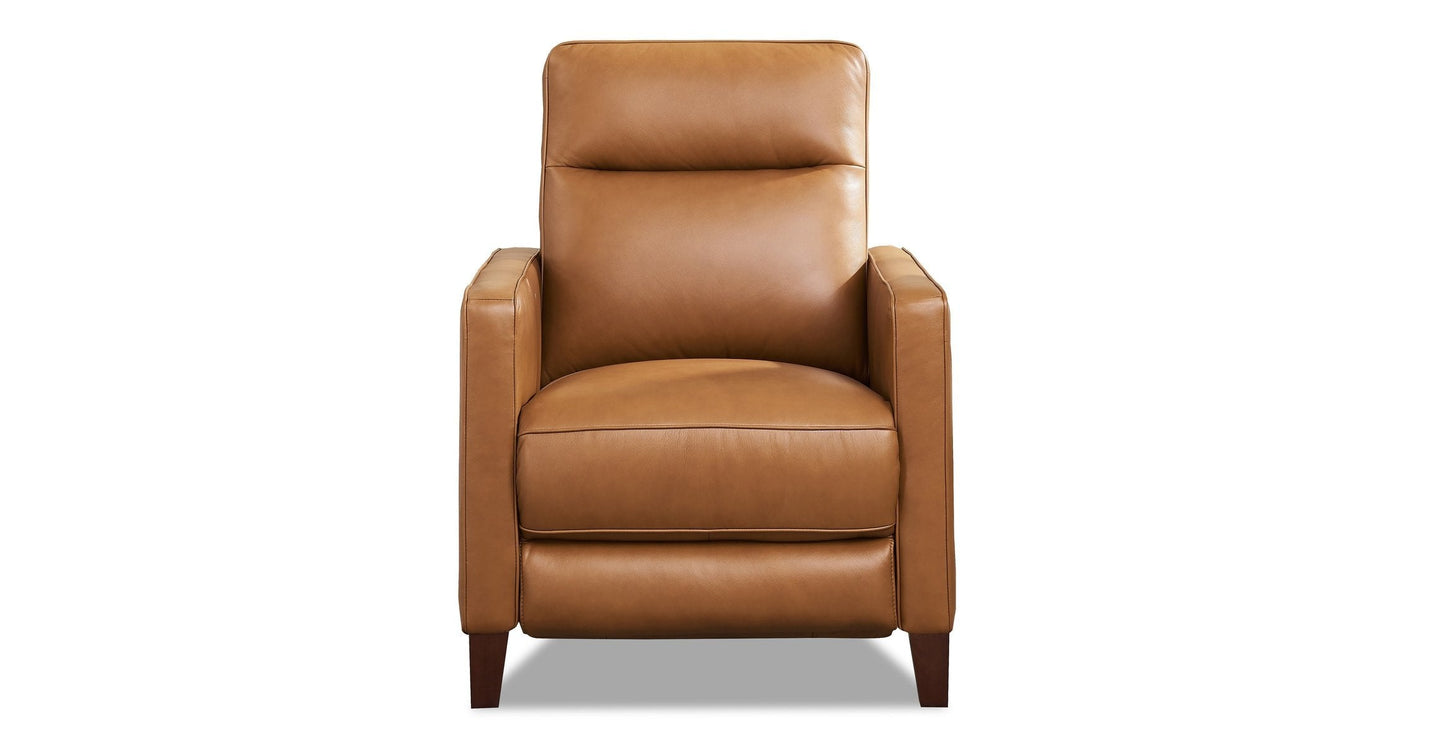 Ashby Power and Manual Headrest Recliner Collection with Swivel and Glider Options